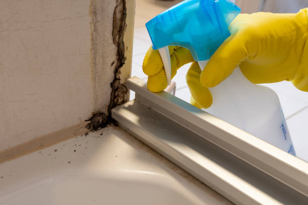Best Crawl Space Mold Removal  in Gettysburg, SD