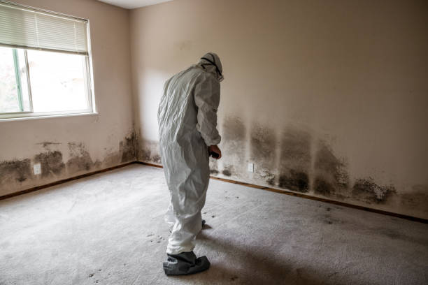 Best Mold Remediation  in Gettysburg, SD